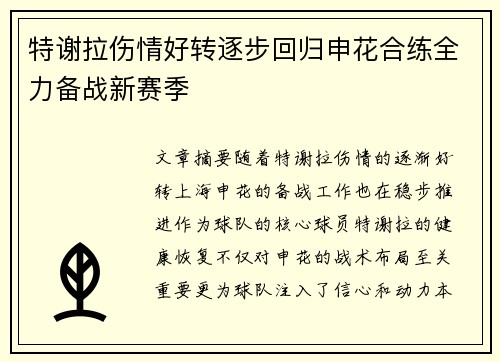 特谢拉伤情好转逐步回归申花合练全力备战新赛季