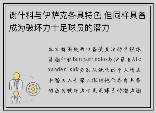 谢什科与伊萨克各具特色 但同样具备成为破坏力十足球员的潜力